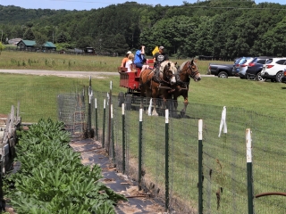 1_Wagon.ride_.BoR_.garden