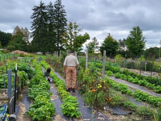 The name surely fits, 
Row-by-Row of vegetables.