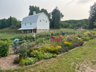 Row-by-Row Garden, early September. A bountiful harvest.