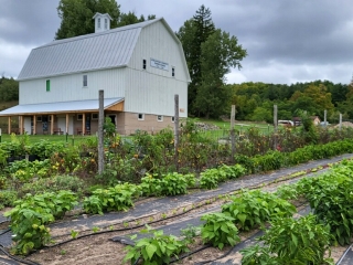 mostly.garden.9.18.23